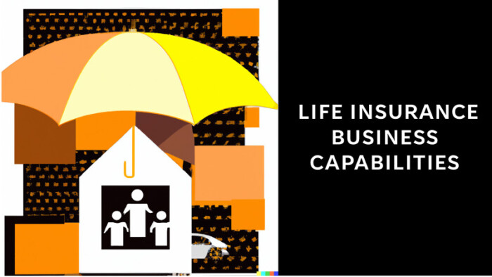 Life Insurance Business Capabilities Map
