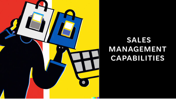 Sales Management Business Capabilities Map