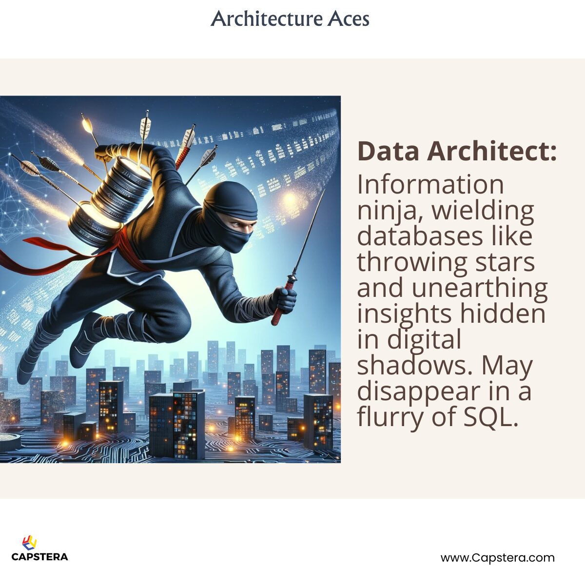 Data Architect